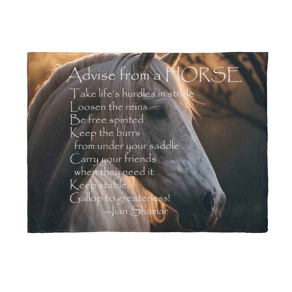 Advice From The Horse