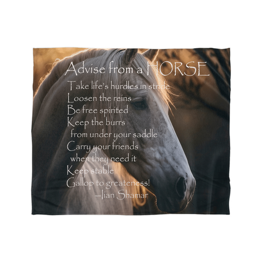 Advice From The Horse