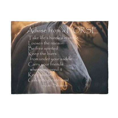Advice From The Horse